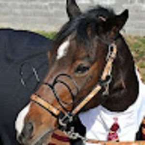 Meet your Posher, Janna